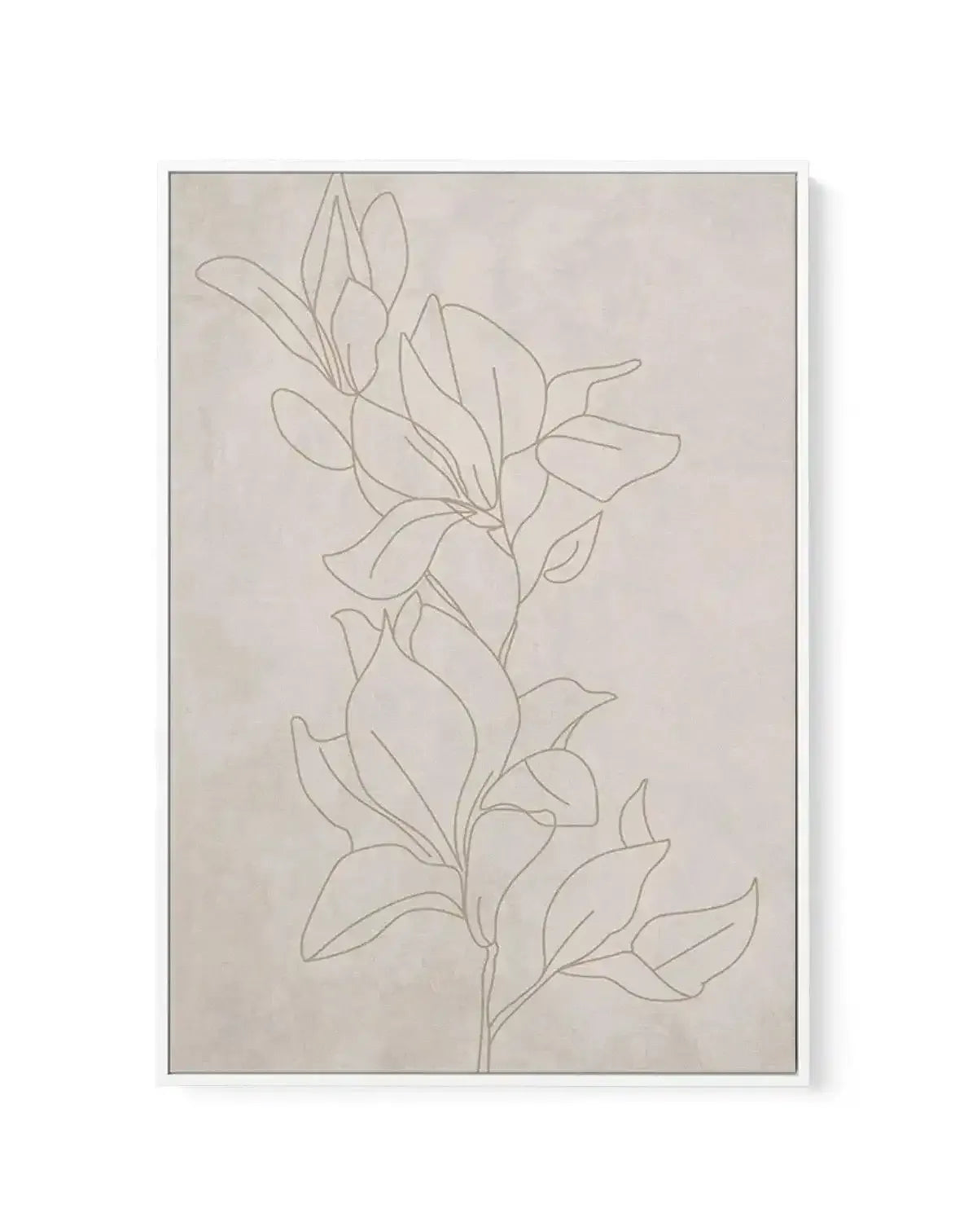 Terra Botanica I | Framed Canvas-CANVAS-You can shop wall art online with Olive et Oriel for everything from abstract art to fun kids wall art. Our beautiful modern art prints and canvas art are available from large canvas prints to wall art paintings and our proudly Australian artwork collection offers only the highest quality framed large wall art and canvas art Australia - You can buy fashion photography prints or Hampton print posters and paintings on canvas from Olive et Oriel and have them