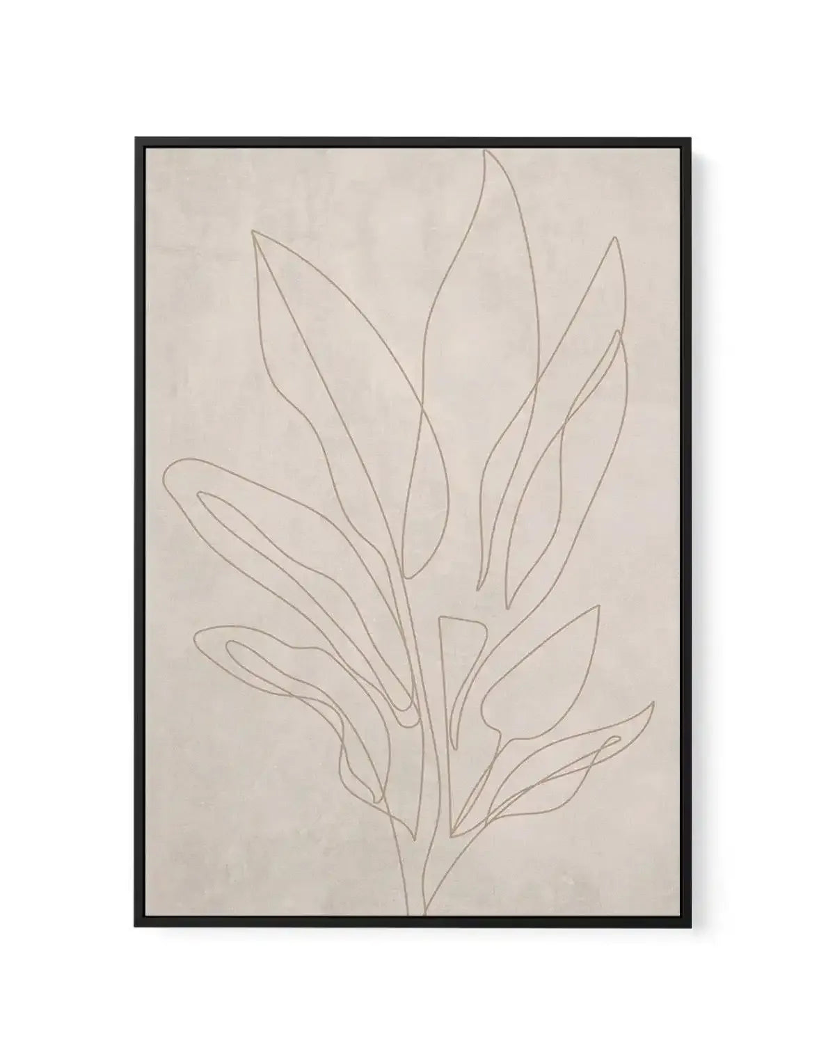 Terra Botanica II | Framed Canvas-CANVAS-You can shop wall art online with Olive et Oriel for everything from abstract art to fun kids wall art. Our beautiful modern art prints and canvas art are available from large canvas prints to wall art paintings and our proudly Australian artwork collection offers only the highest quality framed large wall art and canvas art Australia - You can buy fashion photography prints or Hampton print posters and paintings on canvas from Olive et Oriel and have the