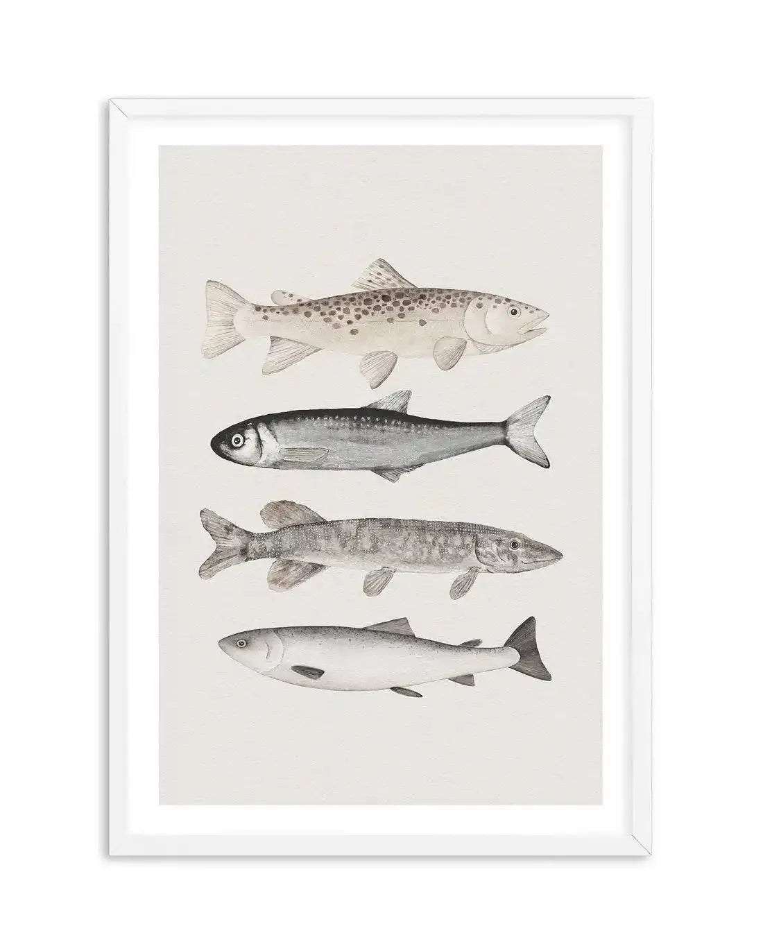 The Catch Art Print-PRINT-Olive et Oriel-Olive et Oriel-A5 | 5.8" x 8.3" | 14.8 x 21cm-White-With White Border-Buy-Australian-Art-Prints-Online-with-Olive-et-Oriel-Your-Artwork-Specialists-Austrailia-Decorate-With-Coastal-Photo-Wall-Art-Prints-From-Our-Beach-House-Artwork-Collection-Fine-Poster-and-Framed-Artwork