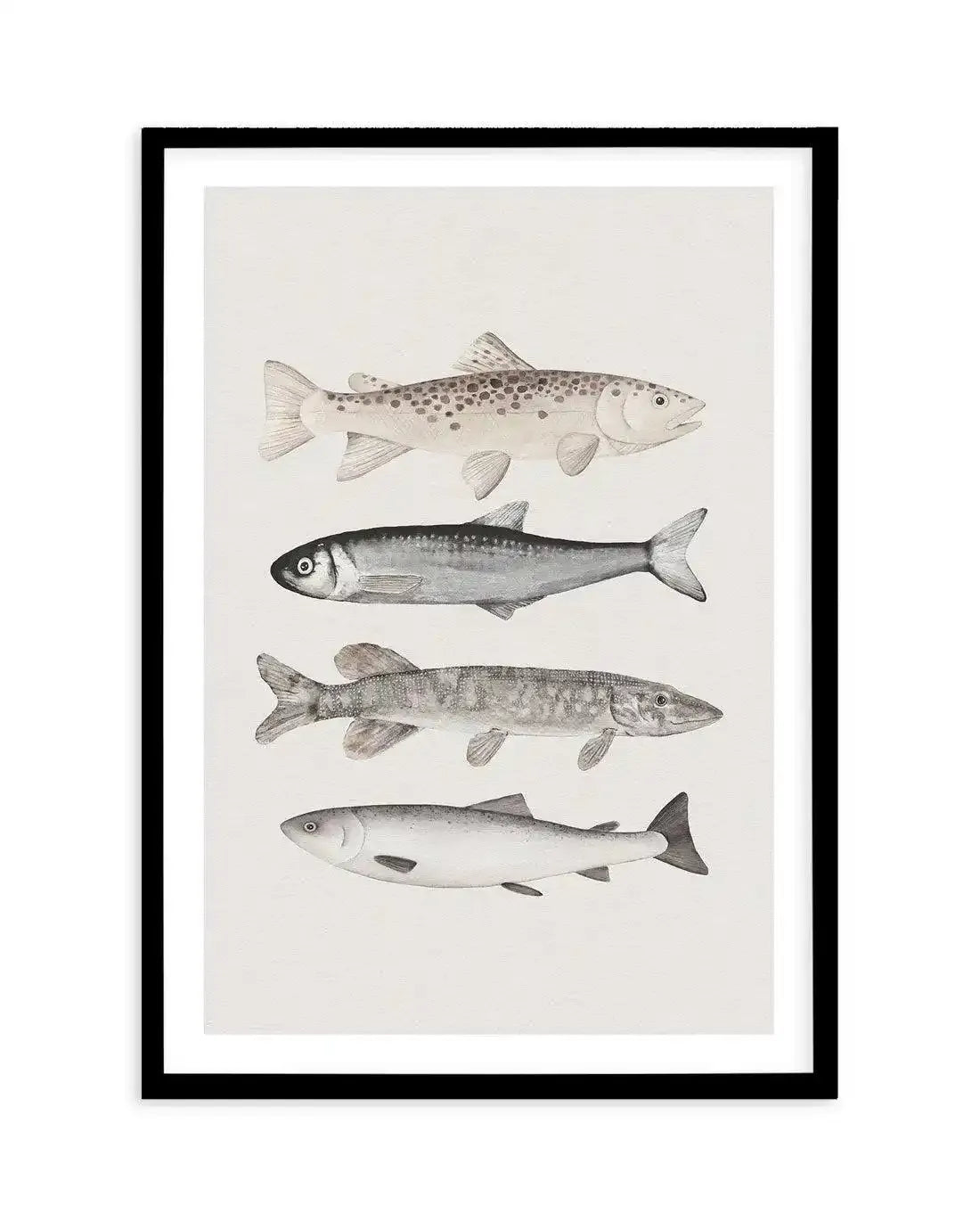 The Catch Art Print-PRINT-Olive et Oriel-Olive et Oriel-A5 | 5.8" x 8.3" | 14.8 x 21cm-Black-With White Border-Buy-Australian-Art-Prints-Online-with-Olive-et-Oriel-Your-Artwork-Specialists-Austrailia-Decorate-With-Coastal-Photo-Wall-Art-Prints-From-Our-Beach-House-Artwork-Collection-Fine-Poster-and-Framed-Artwork