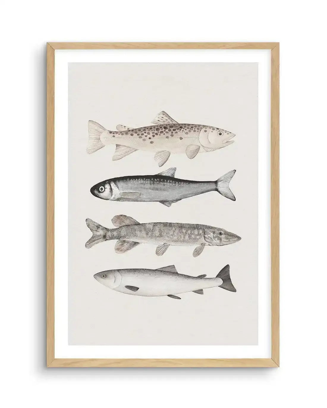 The Catch Art Print-PRINT-Olive et Oriel-Olive et Oriel-A5 | 5.8" x 8.3" | 14.8 x 21cm-Oak-With White Border-Buy-Australian-Art-Prints-Online-with-Olive-et-Oriel-Your-Artwork-Specialists-Austrailia-Decorate-With-Coastal-Photo-Wall-Art-Prints-From-Our-Beach-House-Artwork-Collection-Fine-Poster-and-Framed-Artwork