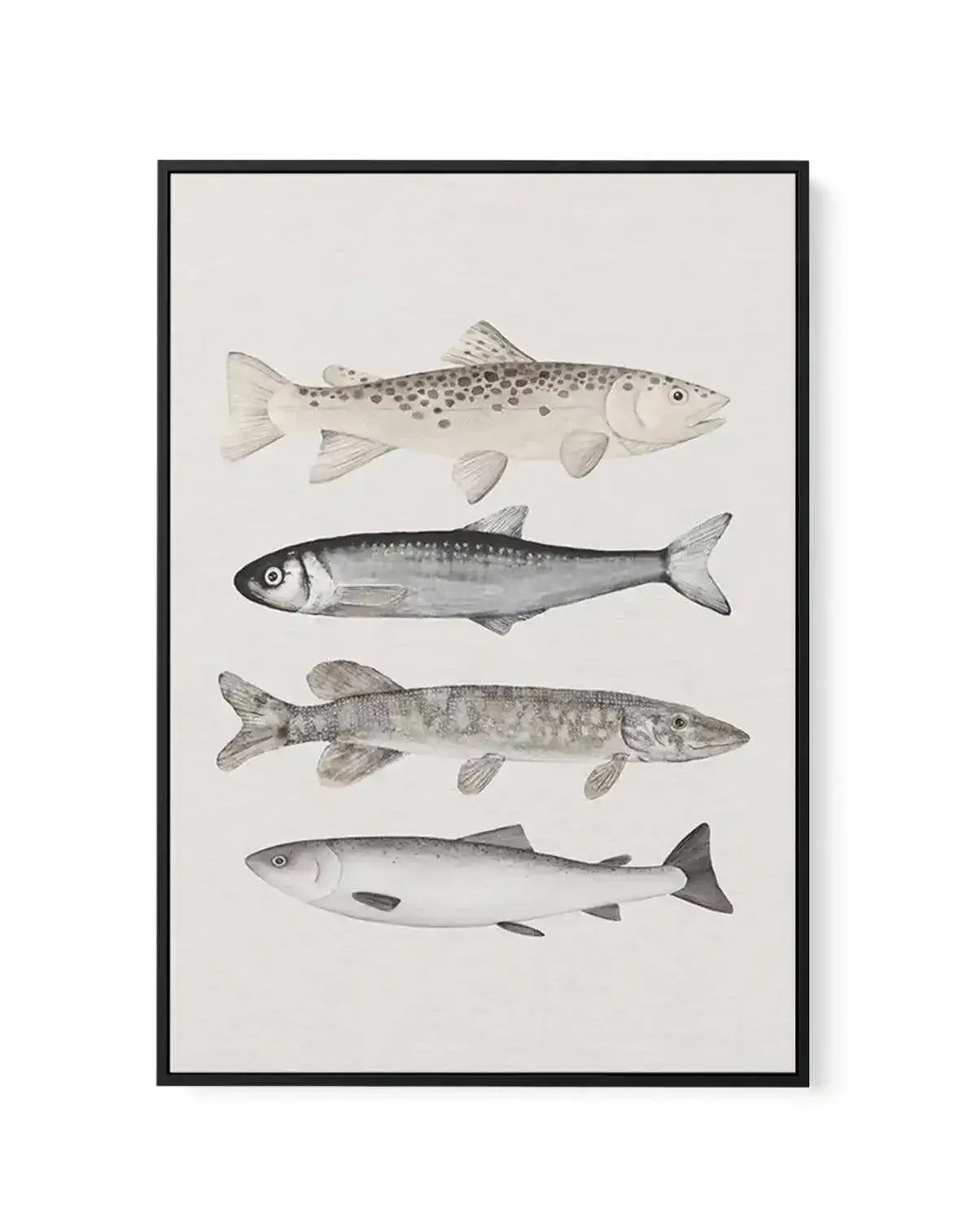 The Catch | Framed Canvas-CANVAS-You can shop wall art online with Olive et Oriel for everything from abstract art to fun kids wall art. Our beautiful modern art prints and canvas art are available from large canvas prints to wall art paintings and our proudly Australian artwork collection offers only the highest quality framed large wall art and canvas art Australia - You can buy fashion photography prints or Hampton print posters and paintings on canvas from Olive et Oriel and have them delive