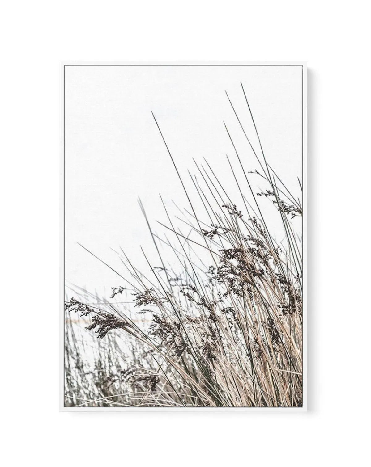 The Coast | Framed Canvas-CANVAS-You can shop wall art online with Olive et Oriel for everything from abstract art to fun kids wall art. Our beautiful modern art prints and canvas art are available from large canvas prints to wall art paintings and our proudly Australian artwork collection offers only the highest quality framed large wall art and canvas art Australia - You can buy fashion photography prints or Hampton print posters and paintings on canvas from Olive et Oriel and have them delive