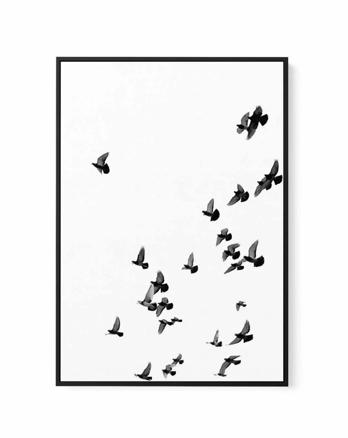 The Flight | PT | Framed Canvas-CANVAS-You can shop wall art online with Olive et Oriel for everything from abstract art to fun kids wall art. Our beautiful modern art prints and canvas art are available from large canvas prints to wall art paintings and our proudly Australian artwork collection offers only the highest quality framed large wall art and canvas art Australia - You can buy fashion photography prints or Hampton print posters and paintings on canvas from Olive et Oriel and have them 