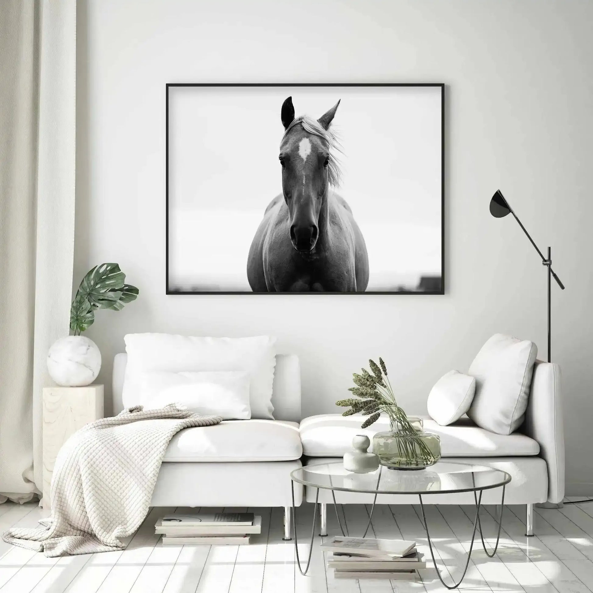 The Stare Art Print-PRINT-Olive et Oriel-Olive et Oriel-Buy-Australian-Art-Prints-Online-with-Olive-et-Oriel-Your-Artwork-Specialists-Austrailia-Decorate-With-Coastal-Photo-Wall-Art-Prints-From-Our-Beach-House-Artwork-Collection-Fine-Poster-and-Framed-Artwork