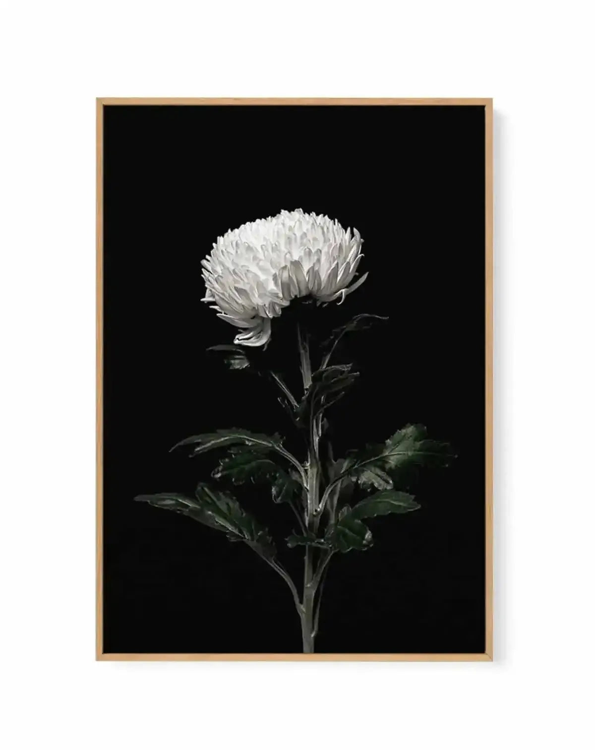The White Flower | PT | Framed Canvas Art Print from Olive et Oriel where you can shop wallpaper and artworks online