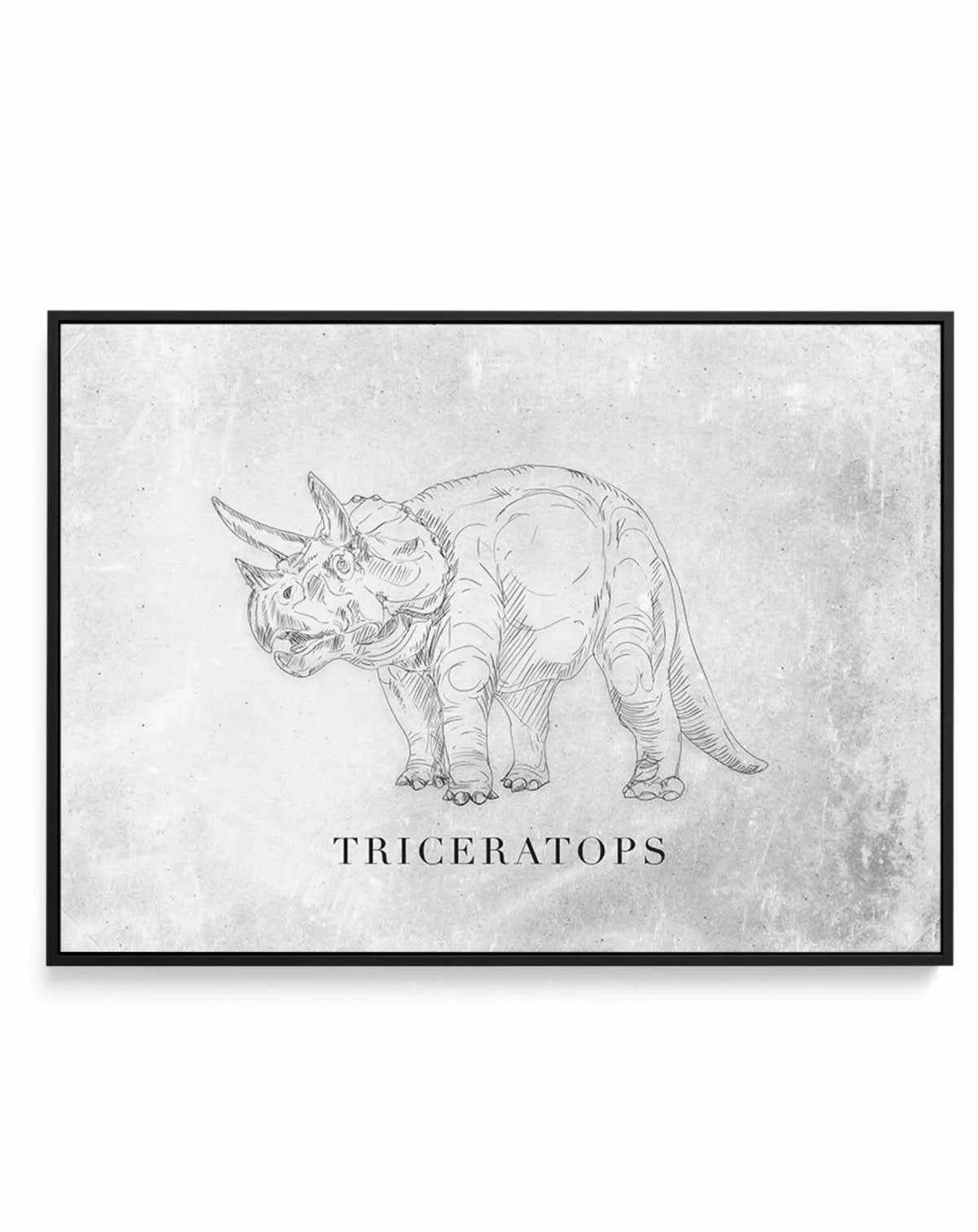 Triceratops LS | Dinosaur Collection | Framed Canvas-CANVAS-You can shop wall art online with Olive et Oriel for everything from abstract art to fun kids wall art. Our beautiful modern art prints and canvas art are available from large canvas prints to wall art paintings and our proudly Australian artwork collection offers only the highest quality framed large wall art and canvas art Australia - You can buy fashion photography prints or Hampton print posters and paintings on canvas from Olive et