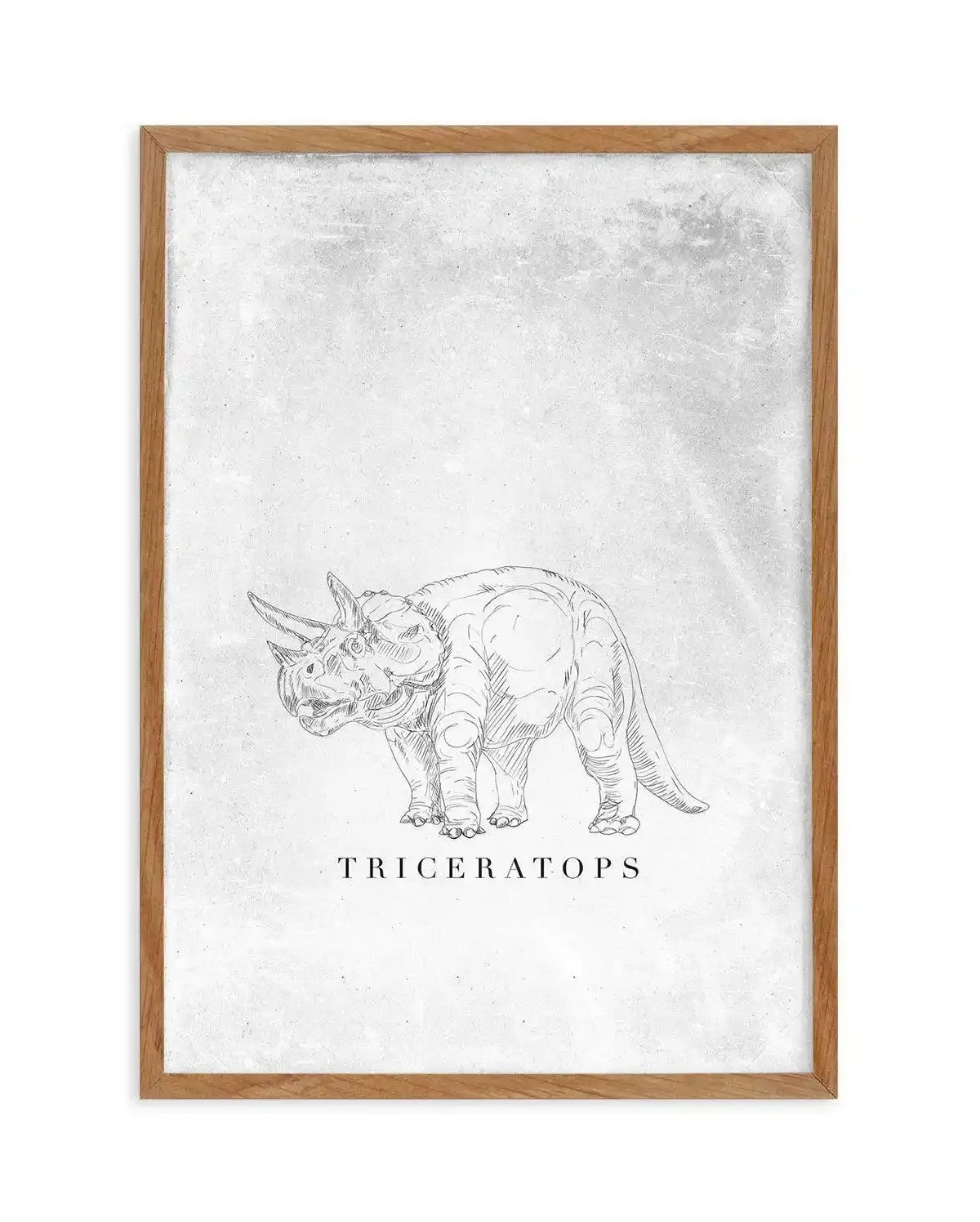 Triceratops PT | Dinosaur Collection Art Print-PRINT-Olive et Oriel-Olive et Oriel-50x70 cm | 19.6" x 27.5"-Walnut-With White Border-Buy-Australian-Art-Prints-Online-with-Olive-et-Oriel-Your-Artwork-Specialists-Austrailia-Decorate-With-Coastal-Photo-Wall-Art-Prints-From-Our-Beach-House-Artwork-Collection-Fine-Poster-and-Framed-Artwork