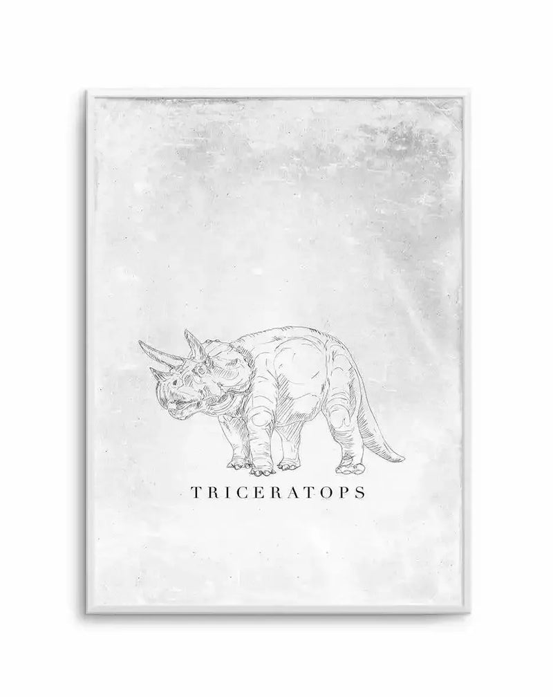 Framed art print featuring a detailed pen and ink sketch of a Triceratops dinosaur centered on a weathered, off-white textured background. The dinosaur is rendered in fine line work showing anatomical detail including its three horns, frilled neck, muscular body, and four sturdy legs. The word "TRICERATOPS" appears in serif capital letters below the illustration. The artwork is mounted in a light gray frame with a white border, creating a minimalist, scientific illustration aesthetic.