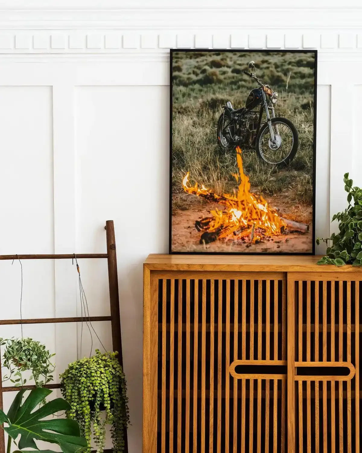 Triumph By Tim Harris Art Print-PRINT-Olive et Oriel-Tim Harris-Buy-Australian-Art-Prints-Online-with-Olive-et-Oriel-Your-Artwork-Specialists-Austrailia-Decorate-With-Coastal-Photo-Wall-Art-Prints-From-Our-Beach-House-Artwork-Collection-Fine-Poster-and-Framed-Artwork