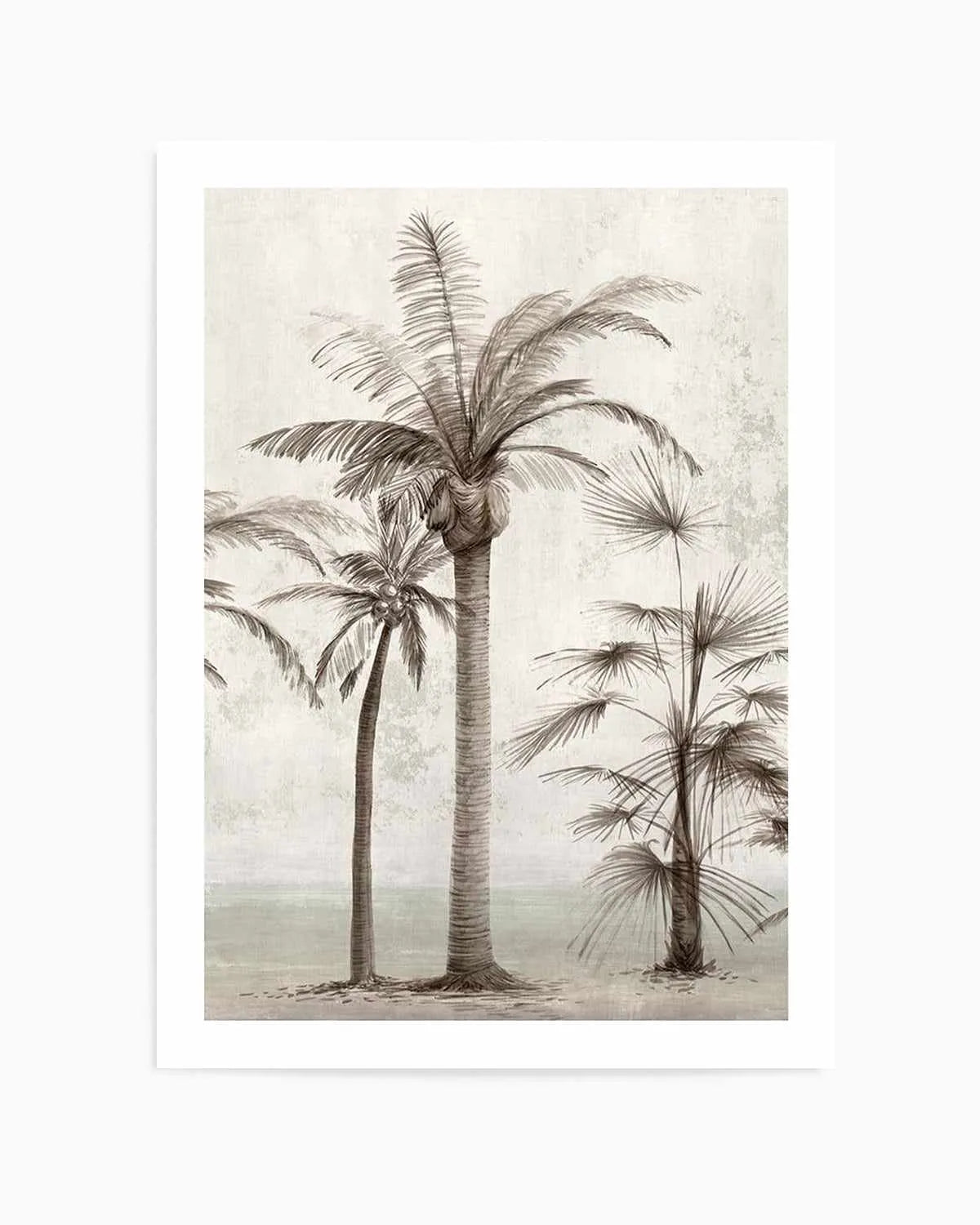 Tropic Palm I Art Print from Olive et Oriel where you can shop wallpaper and artworks online