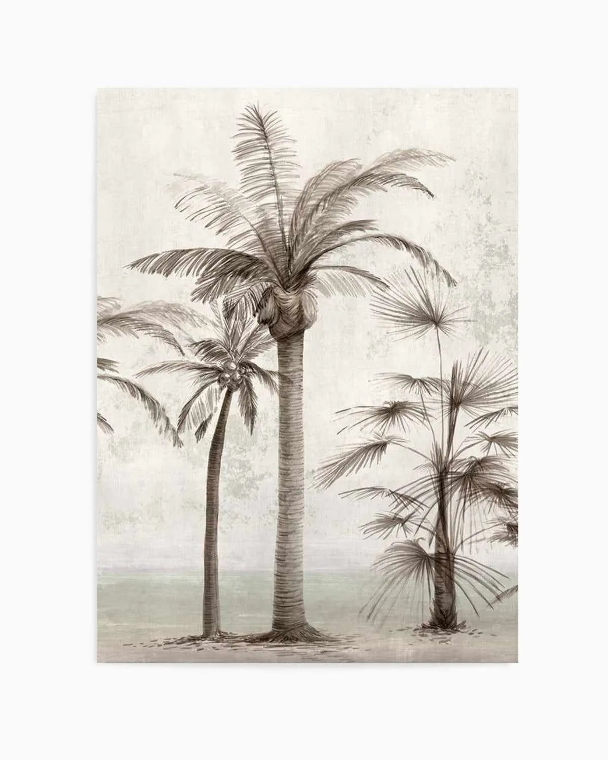 Tropic Palm I Art Print from Olive et Oriel where you can shop wallpaper and artworks online