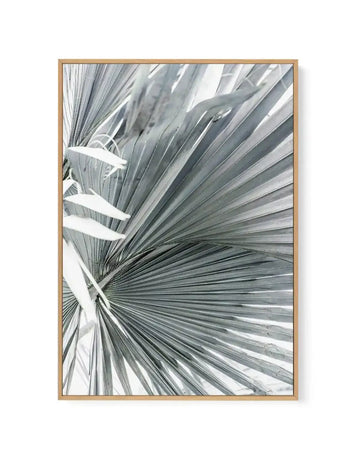 Tropical Palm I | Framed Canvas-CANVAS-You can shop wall art online with Olive et Oriel for everything from abstract art to fun kids wall art. Our beautiful modern art prints and canvas art are available from large canvas prints to wall art paintings and our proudly Australian artwork collection offers only the highest quality framed large wall art and canvas art Australia - You can buy fashion photography prints or Hampton print posters and paintings on canvas from Olive et Oriel and have them 