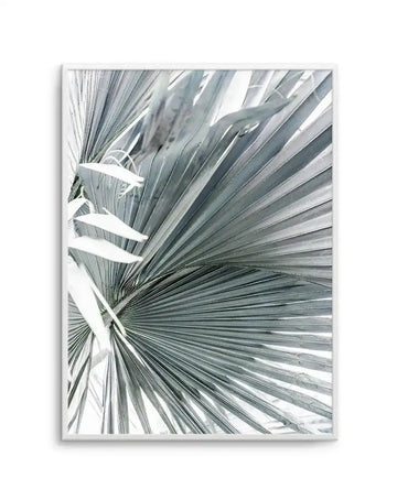 Framed art print featuring a close-up photograph of a tropical palm frond with radiating gray-green and white striped leaves extending outward from the center. The composition captures fine linear details and natural texture of the palm leaves with soft, diffused lighting. The artwork is mounted in a light gray frame with a white border, displayed against a white background.