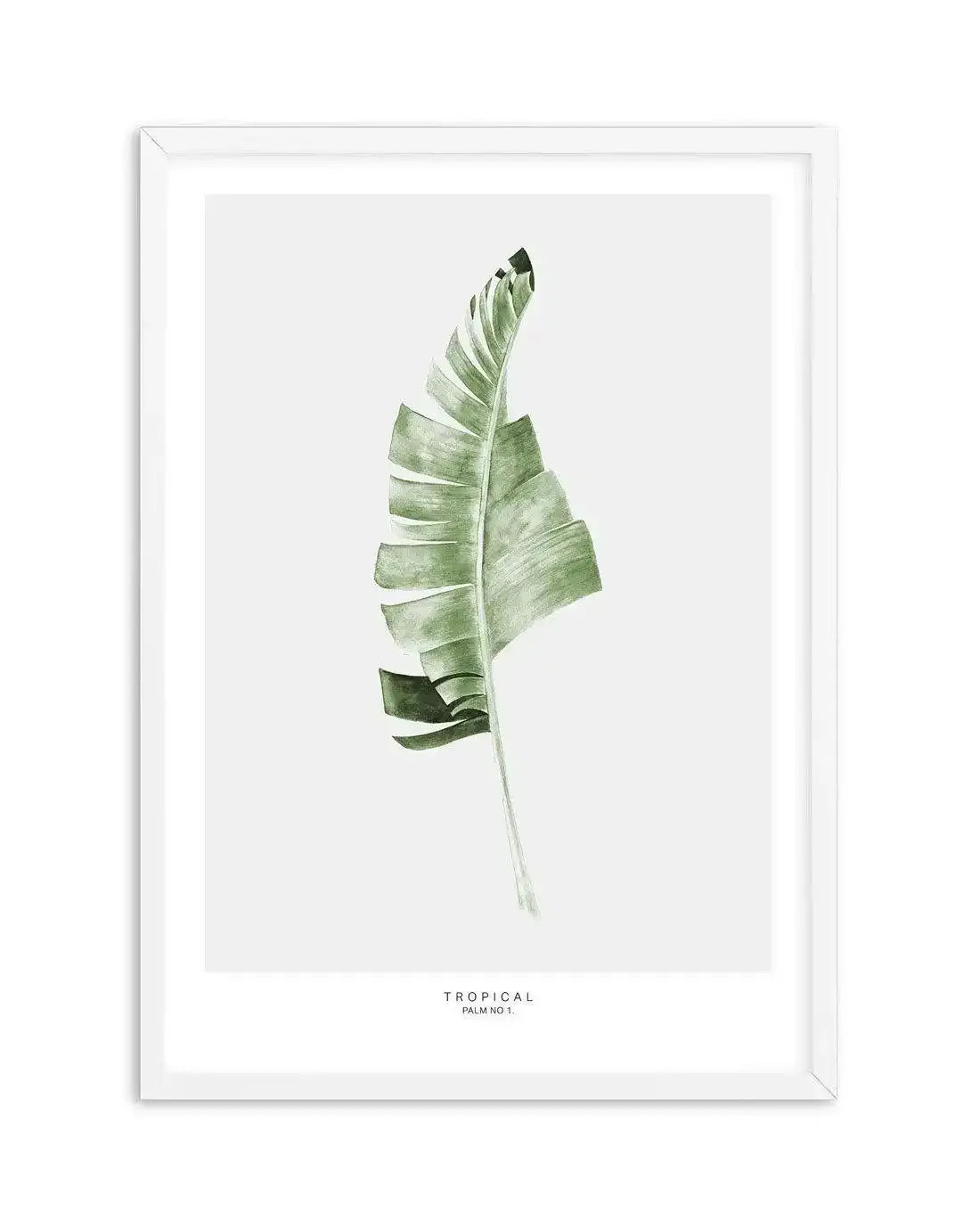 Banana Leaf I Art Print-PRINT-Olive et Oriel-Olive et Oriel-A5 | 5.8" x 8.3" | 14.8 x 21cm-White-With White Border-Buy-Australian-Art-Prints-Online-with-Olive-et-Oriel-Your-Artwork-Specialists-Austrailia-Decorate-With-Coastal-Photo-Wall-Art-Prints-From-Our-Beach-House-Artwork-Collection-Fine-Poster-and-Framed-Artwork