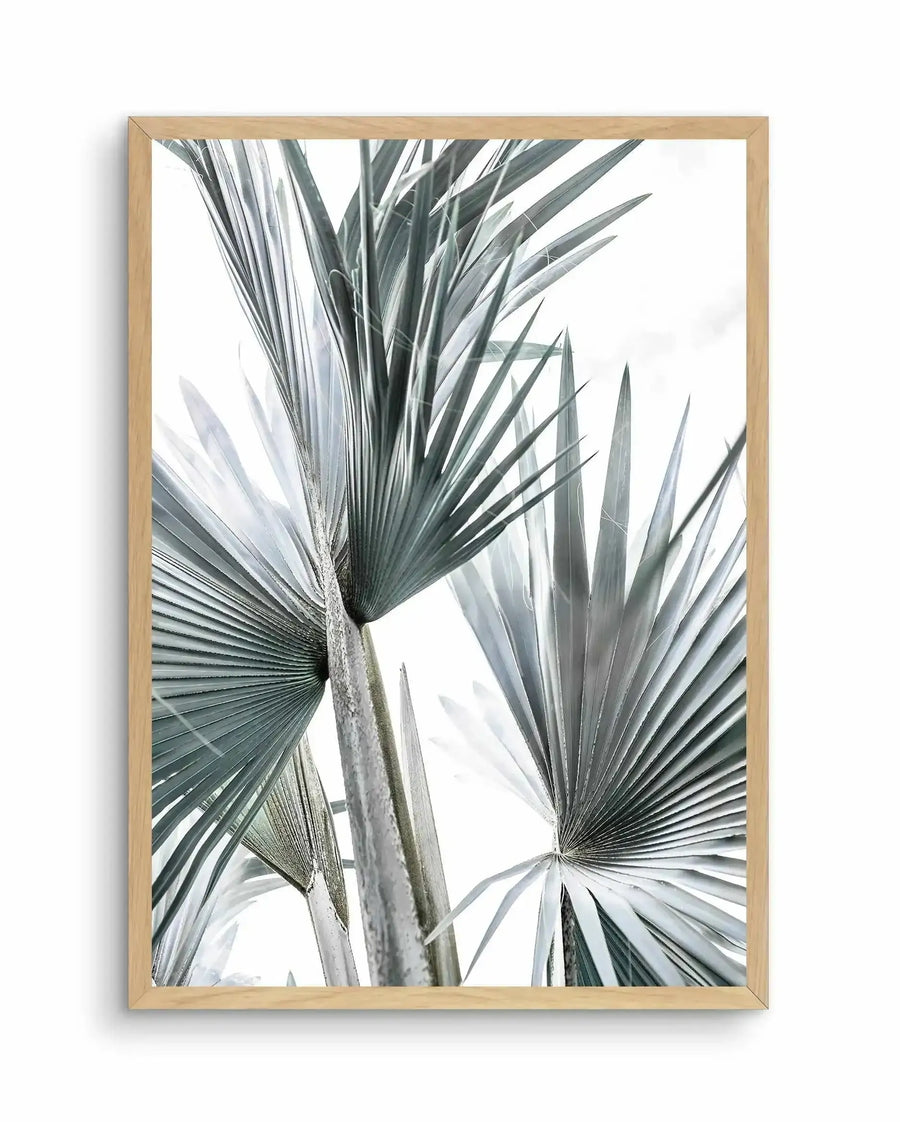 Framed art print featuring a close-up photograph of tropical palm fronds with long, thin, blade-like leaves in shades of sage green and soft grey-green against a white background. The leaves radiate outward in a fan-like pattern, creating depth and movement. The natural wood frame has a light tan finish with a white border surrounding the image.