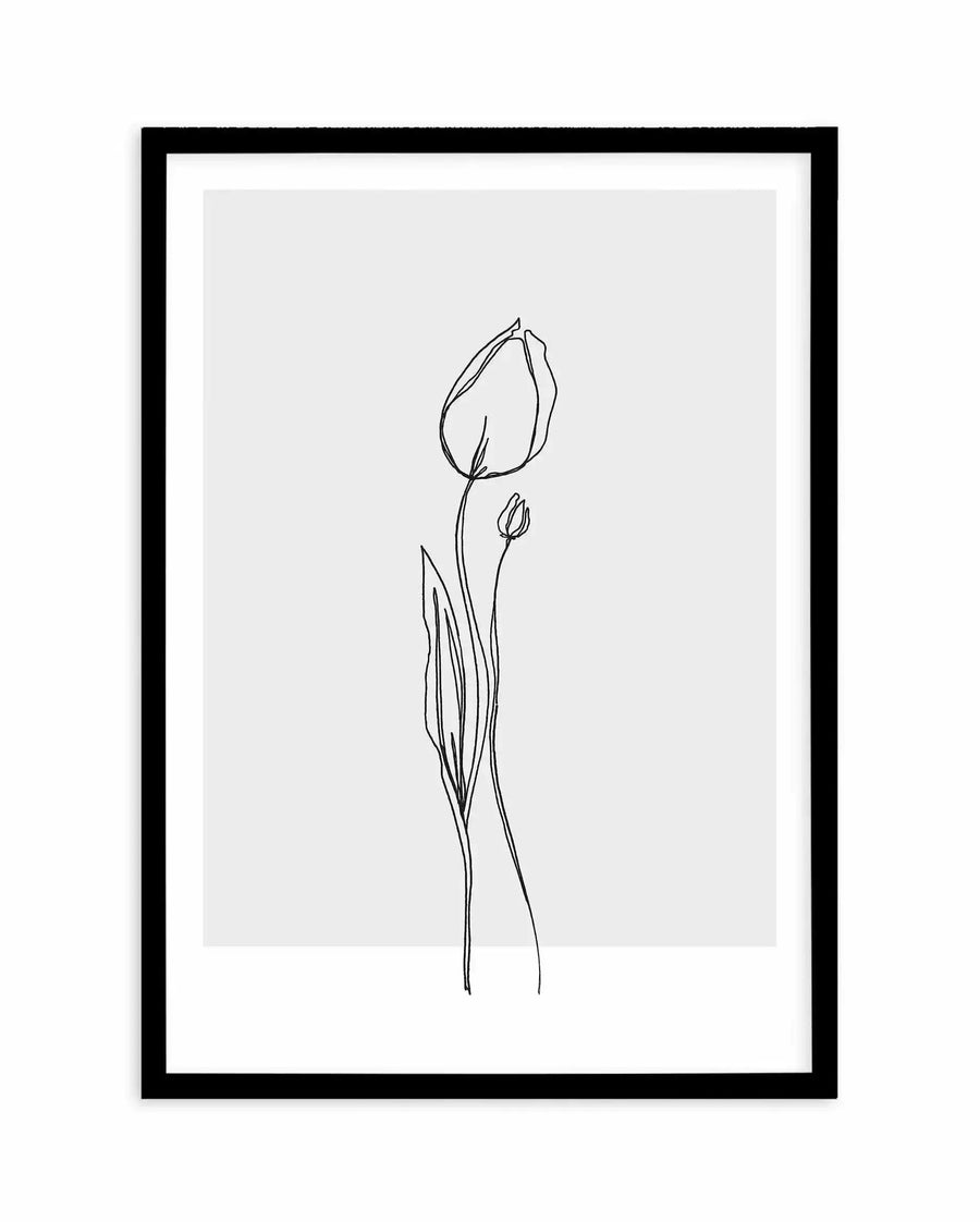 Framed art print featuring a minimalist line drawing of a single tulip with one smaller bud on a light gray background. The illustration uses thin black ink lines on white paper, displayed in a black frame with white border. The tulip stem is long and delicate with elongated leaves, rendered in a simple continuous-line style with subtle shading details.