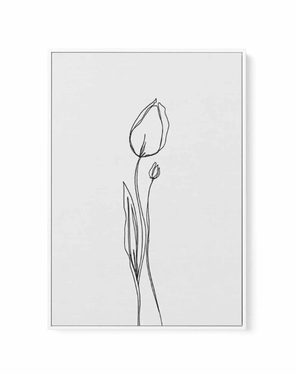 Tulip II | Illustration | Framed Canvas-CANVAS-You can shop wall art online with Olive et Oriel for everything from abstract art to fun kids wall art. Our beautiful modern art prints and canvas art are available from large canvas prints to wall art paintings and our proudly Australian artwork collection offers only the highest quality framed large wall art and canvas art Australia - You can buy fashion photography prints or Hampton print posters and paintings on canvas from Olive et Oriel and ha