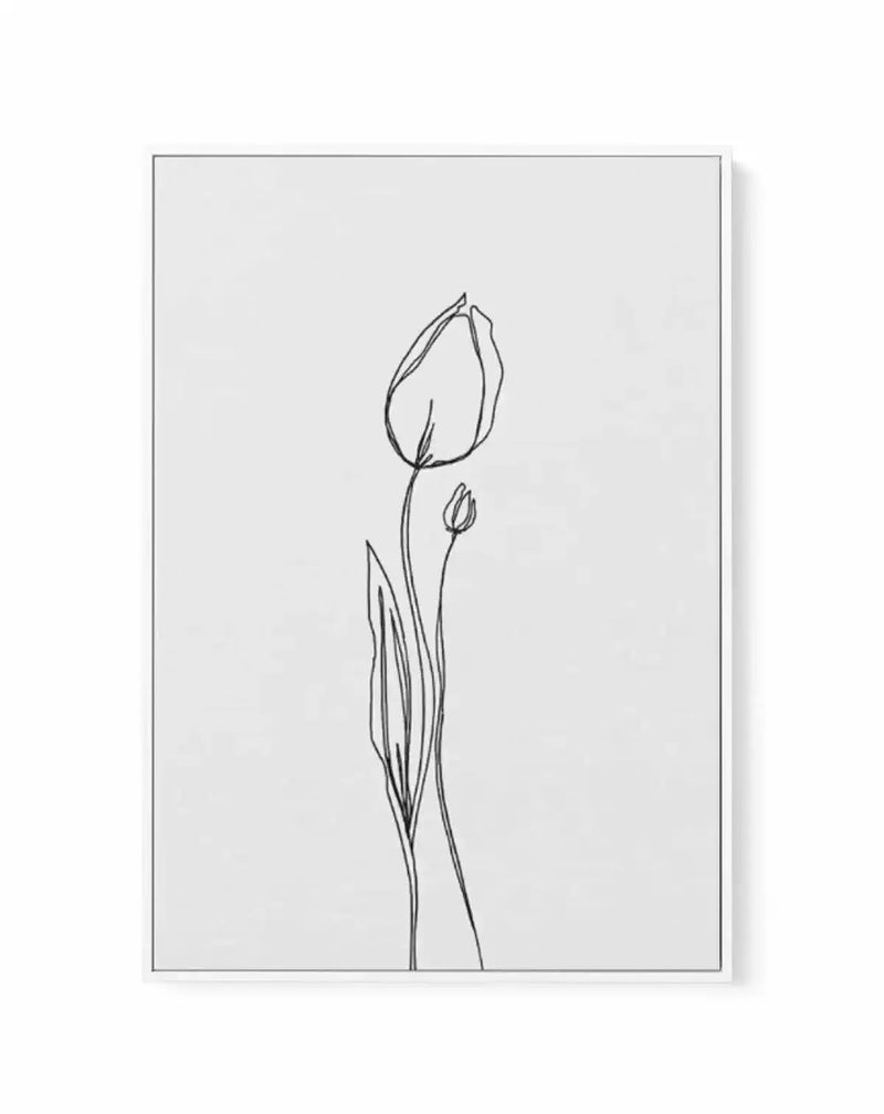 Tulip II | Illustration | Framed Canvas-CANVAS-You can shop wall art online with Olive et Oriel for everything from abstract art to fun kids wall art. Our beautiful modern art prints and canvas art are available from large canvas prints to wall art paintings and our proudly Australian artwork collection offers only the highest quality framed large wall art and canvas art Australia - You can buy fashion photography prints or Hampton print posters and paintings on canvas from Olive et Oriel and ha