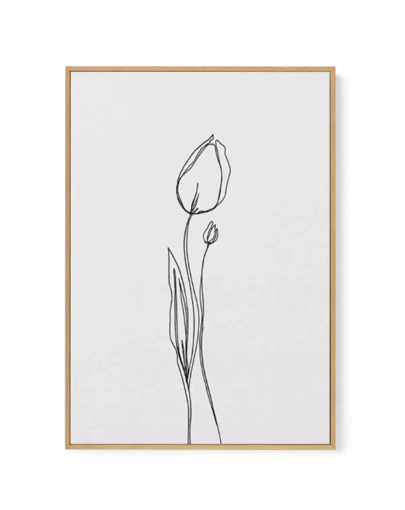 Tulip II | Illustration | Framed Canvas-CANVAS-You can shop wall art online with Olive et Oriel for everything from abstract art to fun kids wall art. Our beautiful modern art prints and canvas art are available from large canvas prints to wall art paintings and our proudly Australian artwork collection offers only the highest quality framed large wall art and canvas art Australia - You can buy fashion photography prints or Hampton print posters and paintings on canvas from Olive et Oriel and ha