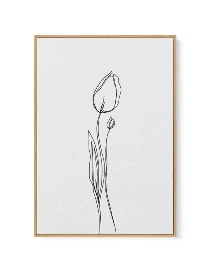 Tulip II | Illustration | Framed Canvas-CANVAS-You can shop wall art online with Olive et Oriel for everything from abstract art to fun kids wall art. Our beautiful modern art prints and canvas art are available from large canvas prints to wall art paintings and our proudly Australian artwork collection offers only the highest quality framed large wall art and canvas art Australia - You can buy fashion photography prints or Hampton print posters and paintings on canvas from Olive et Oriel and ha