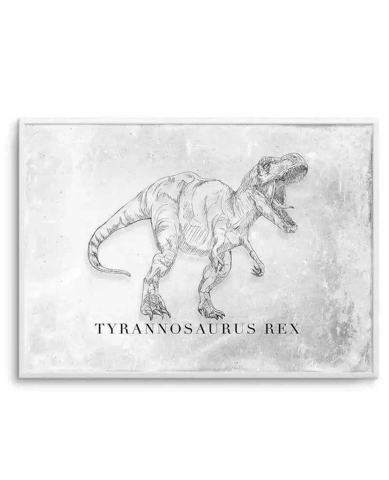 Framed art print featuring a detailed line-drawn illustration of a Tyrannosaurus Rex dinosaur in profile, rendered in black ink on a weathered, off-white textured background. The dinosaur is depicted with anatomically detailed musculature, sharp teeth, clawed feet, and a long tail. The text "TYRANNOSAURUS REX" appears centered below the illustration in serif font. The artwork is mounted in a light gray frame with a white border, giving it a vintage paleontological sketch appearance.