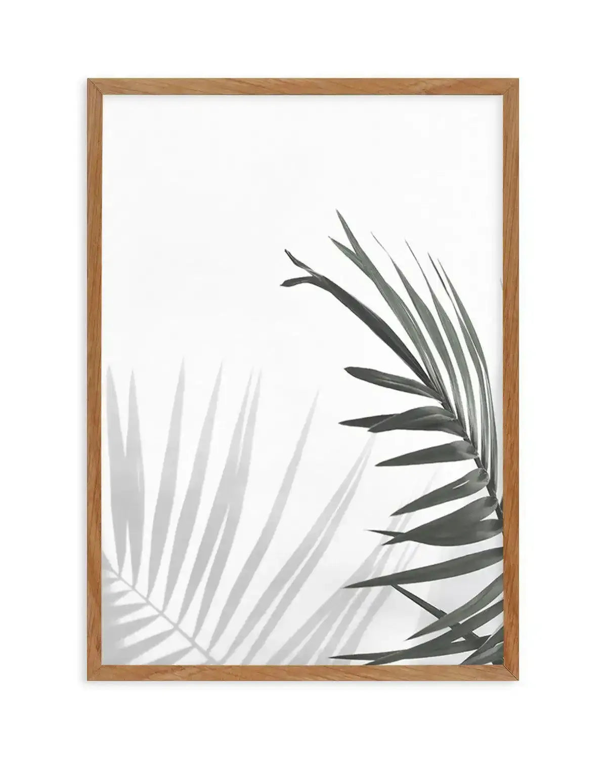 Under The Palm Art Print-PRINT-Olive et Oriel-Olive et Oriel-50x70 cm | 19.6" x 27.5"-Walnut-With White Border-Buy-Australian-Art-Prints-Online-with-Olive-et-Oriel-Your-Artwork-Specialists-Austrailia-Decorate-With-Coastal-Photo-Wall-Art-Prints-From-Our-Beach-House-Artwork-Collection-Fine-Poster-and-Framed-Artwork