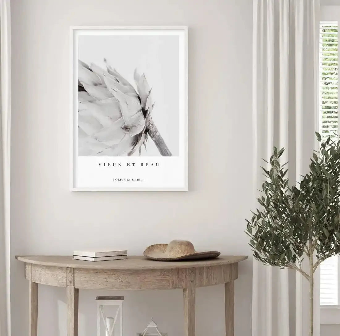 Vieux Et Beau | King Protea Art Print-PRINT-Olive et Oriel-Olive et Oriel-Buy-Australian-Art-Prints-Online-with-Olive-et-Oriel-Your-Artwork-Specialists-Austrailia-Decorate-With-Coastal-Photo-Wall-Art-Prints-From-Our-Beach-House-Artwork-Collection-Fine-Poster-and-Framed-Artwork