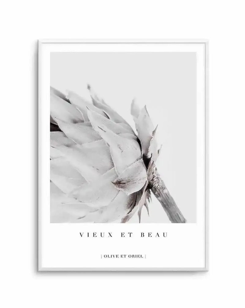 Black and white photographic art print of a King Protea flower in close-up, featuring delicate layered petals with soft gradations of gray tones against a pale background. The composition shows the flower from a side angle, capturing fine textural details and shadows within the petals. The print is mounted in a light gray frame with white border space below the image. Text reading "VIEUX ET BEAU" and "OLIVE ET ORIEL" appears in the white margin beneath the photograph.