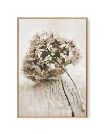 Framed canvas art print featuring a dried hydrangea flower cluster in muted beige and taupe tones, positioned vertically against a soft cream background. The flower stem is dark brown with delicate petals showing fine detail and subtle shadow. The composition is set on weathered light wood boards with visible grain texture and cracks. The artwork is enclosed in a natural wood frame with a thin border.