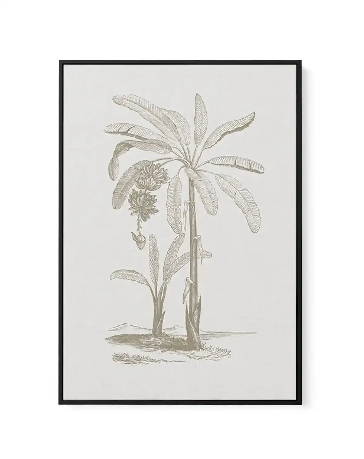 Vintage Palm I | Framed Canvas-CANVAS-You can shop wall art online with Olive et Oriel for everything from abstract art to fun kids wall art. Our beautiful modern art prints and canvas art are available from large canvas prints to wall art paintings and our proudly Australian artwork collection offers only the highest quality framed large wall art and canvas art Australia - You can buy fashion photography prints or Hampton print posters and paintings on canvas from Olive et Oriel and have them d