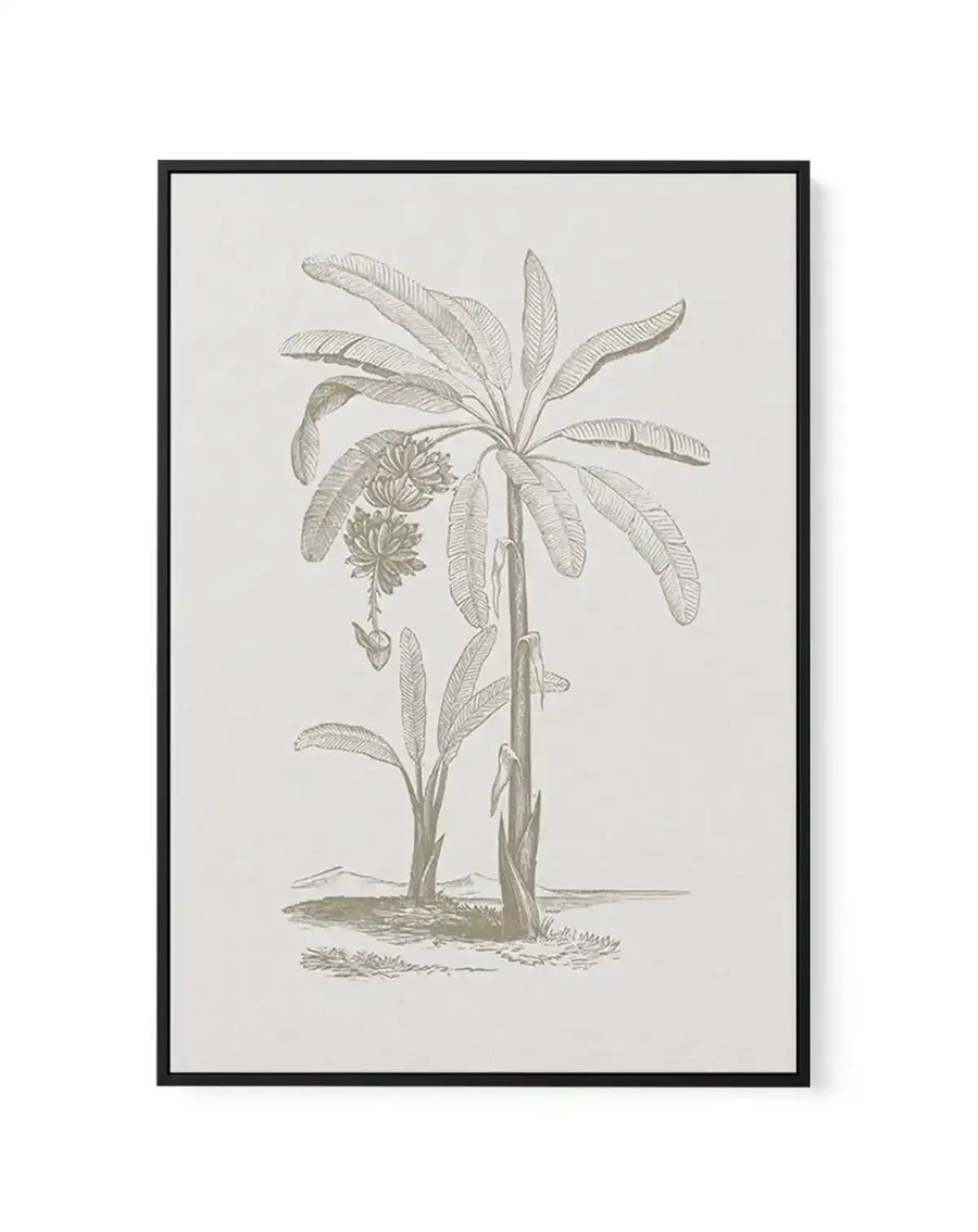 Vintage Palm I | Framed Canvas-CANVAS-You can shop wall art online with Olive et Oriel for everything from abstract art to fun kids wall art. Our beautiful modern art prints and canvas art are available from large canvas prints to wall art paintings and our proudly Australian artwork collection offers only the highest quality framed large wall art and canvas art Australia - You can buy fashion photography prints or Hampton print posters and paintings on canvas from Olive et Oriel and have them d