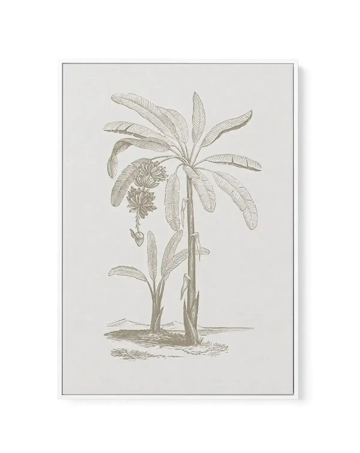 Vintage Palm I | Framed Canvas-CANVAS-You can shop wall art online with Olive et Oriel for everything from abstract art to fun kids wall art. Our beautiful modern art prints and canvas art are available from large canvas prints to wall art paintings and our proudly Australian artwork collection offers only the highest quality framed large wall art and canvas art Australia - You can buy fashion photography prints or Hampton print posters and paintings on canvas from Olive et Oriel and have them d