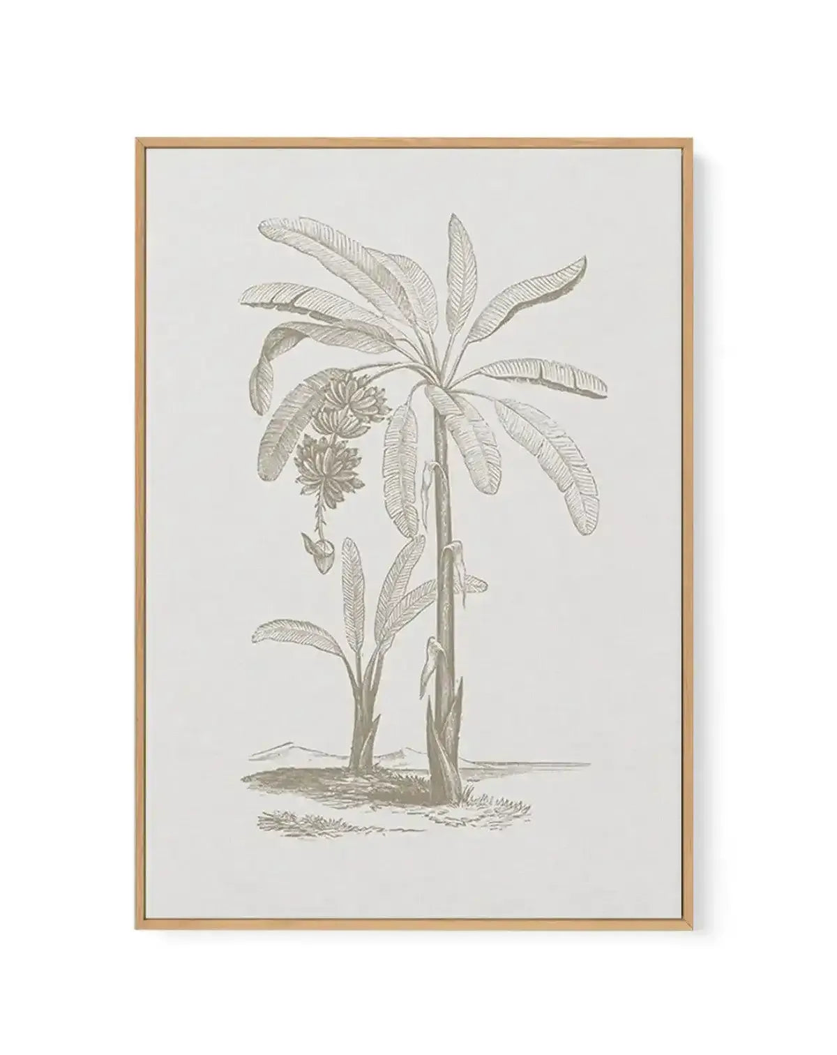 Vintage Palm I | Framed Canvas-CANVAS-You can shop wall art online with Olive et Oriel for everything from abstract art to fun kids wall art. Our beautiful modern art prints and canvas art are available from large canvas prints to wall art paintings and our proudly Australian artwork collection offers only the highest quality framed large wall art and canvas art Australia - You can buy fashion photography prints or Hampton print posters and paintings on canvas from Olive et Oriel and have them d