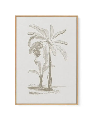 Vintage Palm I | Framed Canvas-CANVAS-You can shop wall art online with Olive et Oriel for everything from abstract art to fun kids wall art. Our beautiful modern art prints and canvas art are available from large canvas prints to wall art paintings and our proudly Australian artwork collection offers only the highest quality framed large wall art and canvas art Australia - You can buy fashion photography prints or Hampton print posters and paintings on canvas from Olive et Oriel and have them d