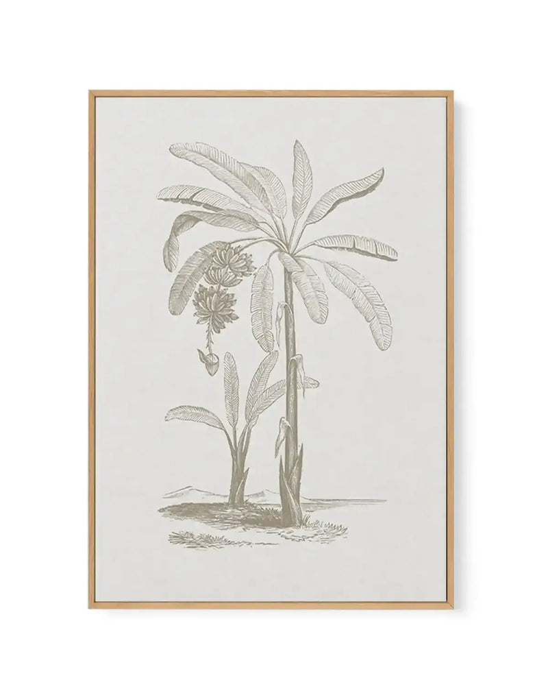 Vintage Palm I | Framed Canvas-CANVAS-You can shop wall art online with Olive et Oriel for everything from abstract art to fun kids wall art. Our beautiful modern art prints and canvas art are available from large canvas prints to wall art paintings and our proudly Australian artwork collection offers only the highest quality framed large wall art and canvas art Australia - You can buy fashion photography prints or Hampton print posters and paintings on canvas from Olive et Oriel and have them d