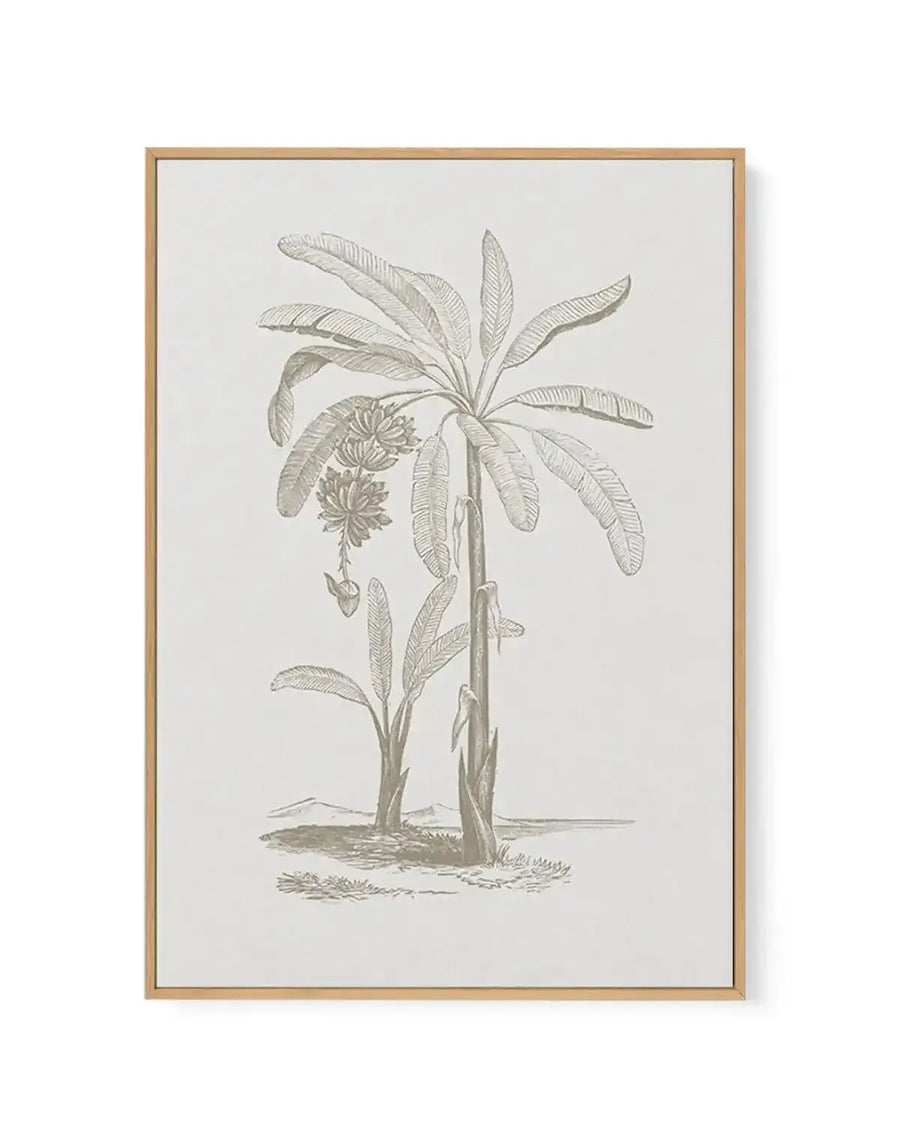 Vintage Palm I | Framed Canvas-CANVAS-You can shop wall art online with Olive et Oriel for everything from abstract art to fun kids wall art. Our beautiful modern art prints and canvas art are available from large canvas prints to wall art paintings and our proudly Australian artwork collection offers only the highest quality framed large wall art and canvas art Australia - You can buy fashion photography prints or Hampton print posters and paintings on canvas from Olive et Oriel and have them d