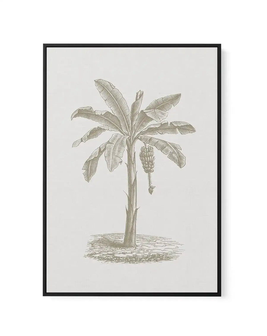 Vintage Palm II | Framed Canvas-CANVAS-You can shop wall art online with Olive et Oriel for everything from abstract art to fun kids wall art. Our beautiful modern art prints and canvas art are available from large canvas prints to wall art paintings and our proudly Australian artwork collection offers only the highest quality framed large wall art and canvas art Australia - You can buy fashion photography prints or Hampton print posters and paintings on canvas from Olive et Oriel and have them 