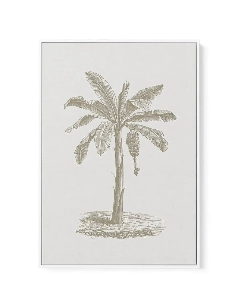 Vintage Palm II | Framed Canvas-CANVAS-You can shop wall art online with Olive et Oriel for everything from abstract art to fun kids wall art. Our beautiful modern art prints and canvas art are available from large canvas prints to wall art paintings and our proudly Australian artwork collection offers only the highest quality framed large wall art and canvas art Australia - You can buy fashion photography prints or Hampton print posters and paintings on canvas from Olive et Oriel and have them 