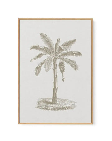 Vintage Palm II | Framed Canvas-CANVAS-You can shop wall art online with Olive et Oriel for everything from abstract art to fun kids wall art. Our beautiful modern art prints and canvas art are available from large canvas prints to wall art paintings and our proudly Australian artwork collection offers only the highest quality framed large wall art and canvas art Australia - You can buy fashion photography prints or Hampton print posters and paintings on canvas from Olive et Oriel and have them 