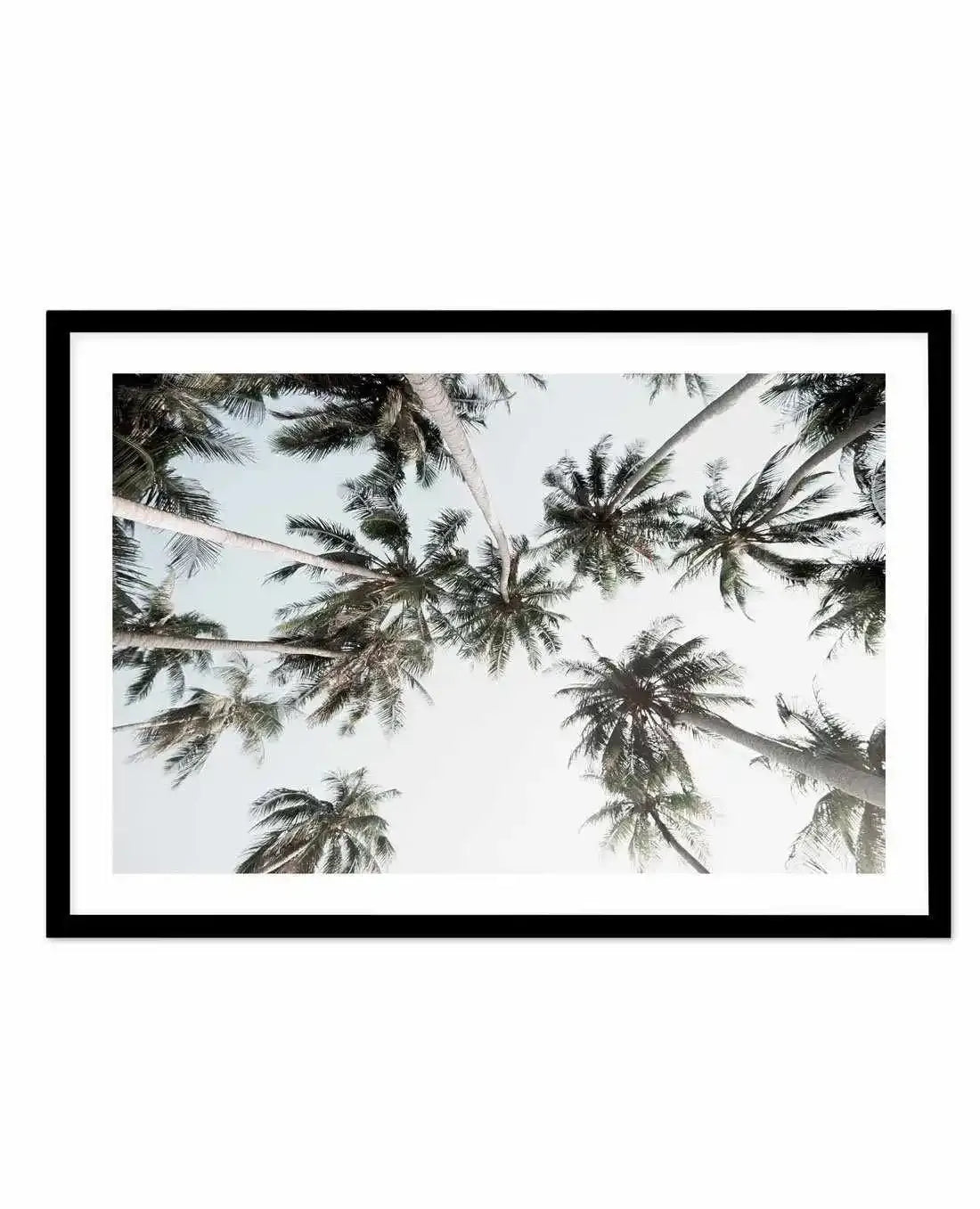 Vintage Palms LS Art Print-PRINT-Olive et Oriel-Olive et Oriel-A5 | 5.8" x 8.3" | 14.8 x 21cm-Black-With White Border-Buy-Australian-Art-Prints-Online-with-Olive-et-Oriel-Your-Artwork-Specialists-Austrailia-Decorate-With-Coastal-Photo-Wall-Art-Prints-From-Our-Beach-House-Artwork-Collection-Fine-Poster-and-Framed-Artwork