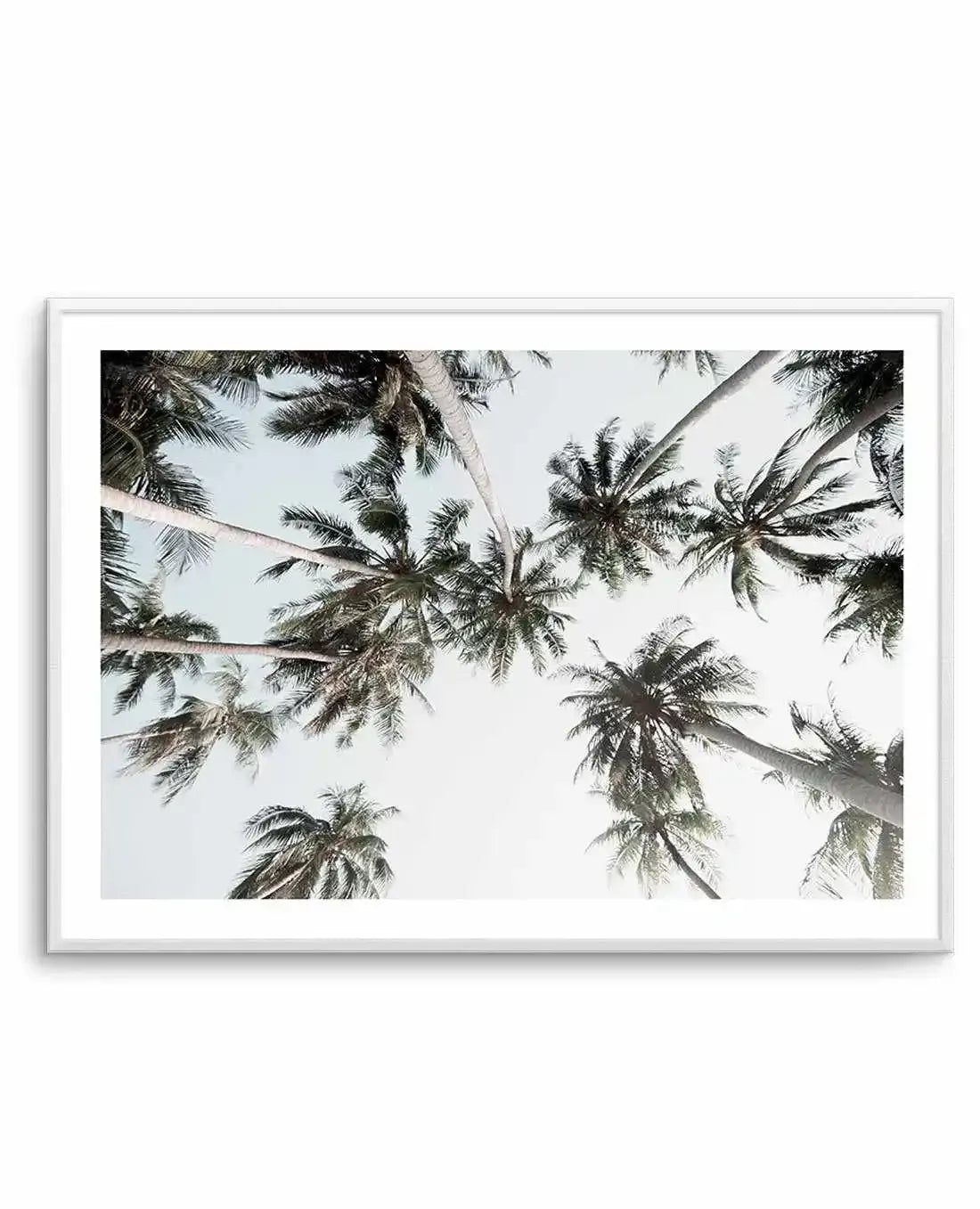 Vintage Palms LS Art Print-PRINT-Olive et Oriel-Olive et Oriel-A5 | 5.8" x 8.3" | 14.8 x 21cm-Unframed Art Print-With White Border-Buy-Australian-Art-Prints-Online-with-Olive-et-Oriel-Your-Artwork-Specialists-Austrailia-Decorate-With-Coastal-Photo-Wall-Art-Prints-From-Our-Beach-House-Artwork-Collection-Fine-Poster-and-Framed-Artwork