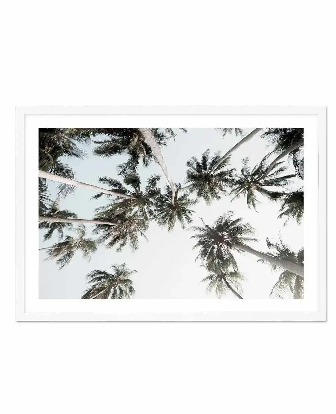 Vintage Palms LS Art Print-PRINT-Olive et Oriel-Olive et Oriel-A5 | 5.8" x 8.3" | 14.8 x 21cm-White-With White Border-Buy-Australian-Art-Prints-Online-with-Olive-et-Oriel-Your-Artwork-Specialists-Austrailia-Decorate-With-Coastal-Photo-Wall-Art-Prints-From-Our-Beach-House-Artwork-Collection-Fine-Poster-and-Framed-Artwork
