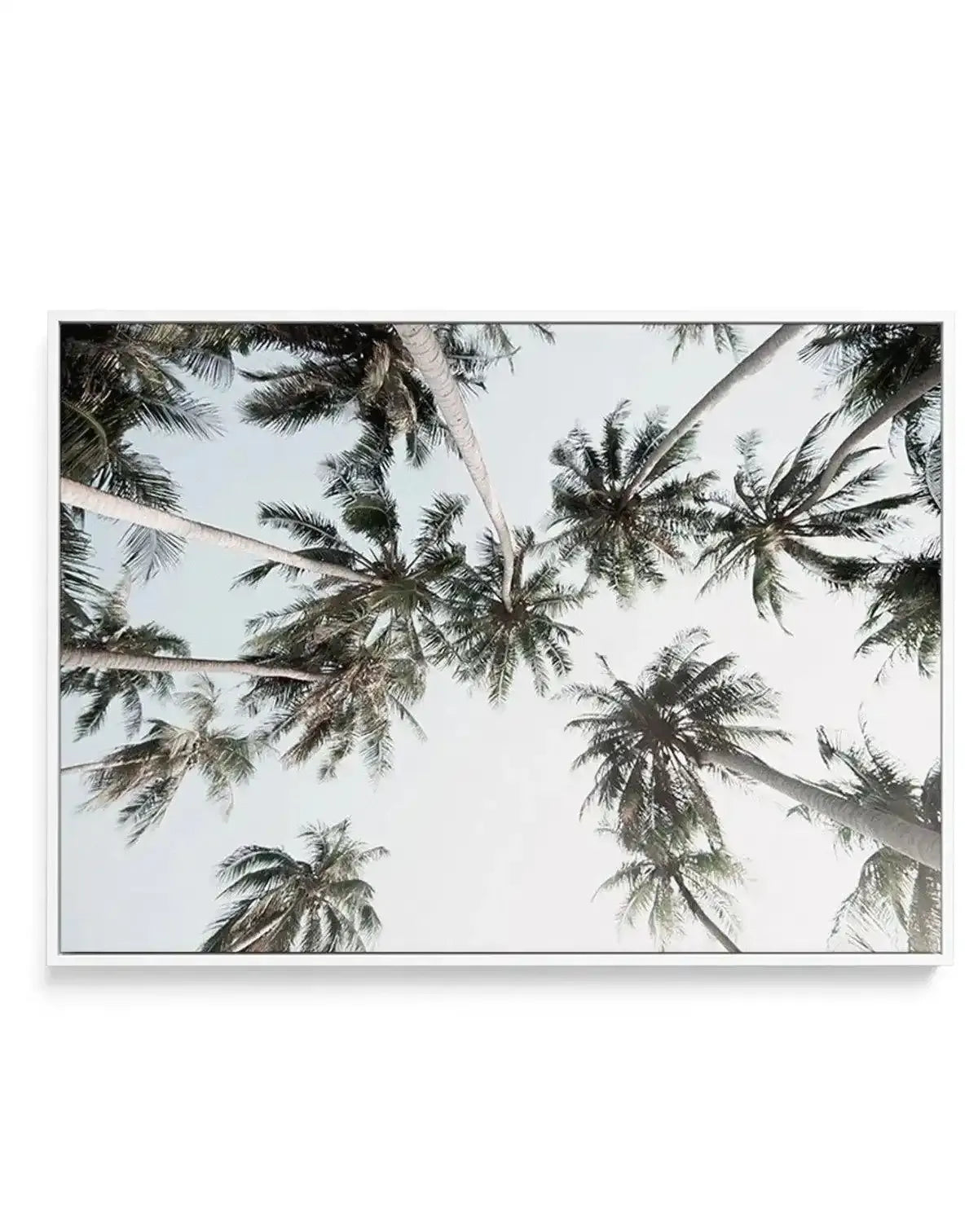 Vintage Palms LS | Framed Canvas-CANVAS-You can shop wall art online with Olive et Oriel for everything from abstract art to fun kids wall art. Our beautiful modern art prints and canvas art are available from large canvas prints to wall art paintings and our proudly Australian artwork collection offers only the highest quality framed large wall art and canvas art Australia - You can buy fashion photography prints or Hampton print posters and paintings on canvas from Olive et Oriel and have them