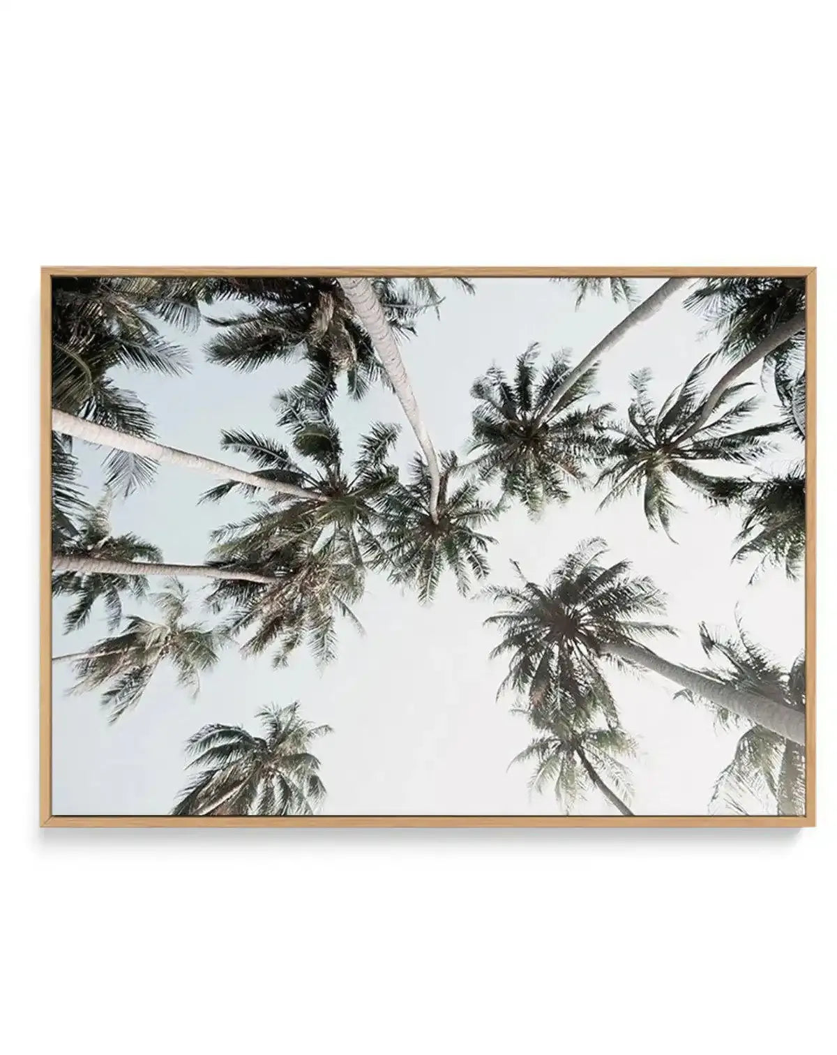 Vintage Palms LS | Framed Canvas-CANVAS-You can shop wall art online with Olive et Oriel for everything from abstract art to fun kids wall art. Our beautiful modern art prints and canvas art are available from large canvas prints to wall art paintings and our proudly Australian artwork collection offers only the highest quality framed large wall art and canvas art Australia - You can buy fashion photography prints or Hampton print posters and paintings on canvas from Olive et Oriel and have them