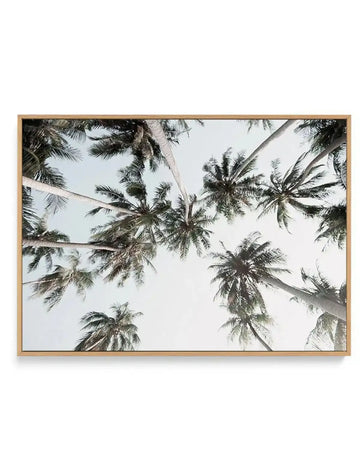 Framed canvas art print featuring a photograph of palm tree fronds shot from below against a light gray sky. Multiple palm trees with long, feathery green fronds stretch across the composition at various angles, creating a layered, natural canopy effect. The photograph has a soft, muted color palette with pale gray-blue sky and darker green foliage. The canvas is mounted in a natural wood frame with a light tan finish.