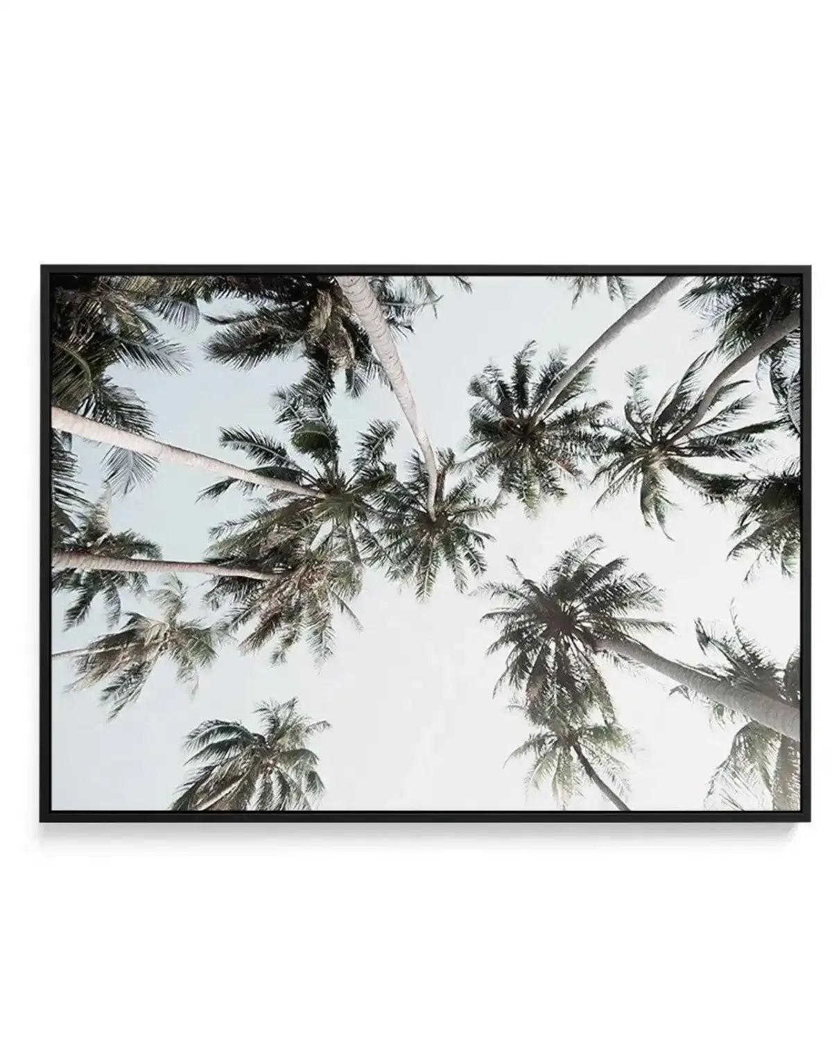 Vintage Palms LS | Framed Canvas-CANVAS-You can shop wall art online with Olive et Oriel for everything from abstract art to fun kids wall art. Our beautiful modern art prints and canvas art are available from large canvas prints to wall art paintings and our proudly Australian artwork collection offers only the highest quality framed large wall art and canvas art Australia - You can buy fashion photography prints or Hampton print posters and paintings on canvas from Olive et Oriel and have them