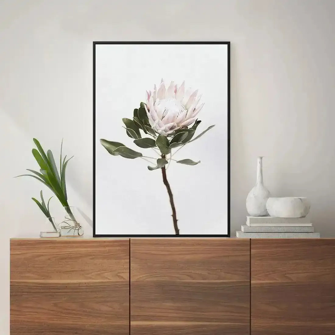 Vintage Protea | Framed Canvas-CANVAS-You can shop wall art online with Olive et Oriel for everything from abstract art to fun kids wall art. Our beautiful modern art prints and canvas art are available from large canvas prints to wall art paintings and our proudly Australian artwork collection offers only the highest quality framed large wall art and canvas art Australia - You can buy fashion photography prints or Hampton print posters and paintings on canvas from Olive et Oriel and have them d