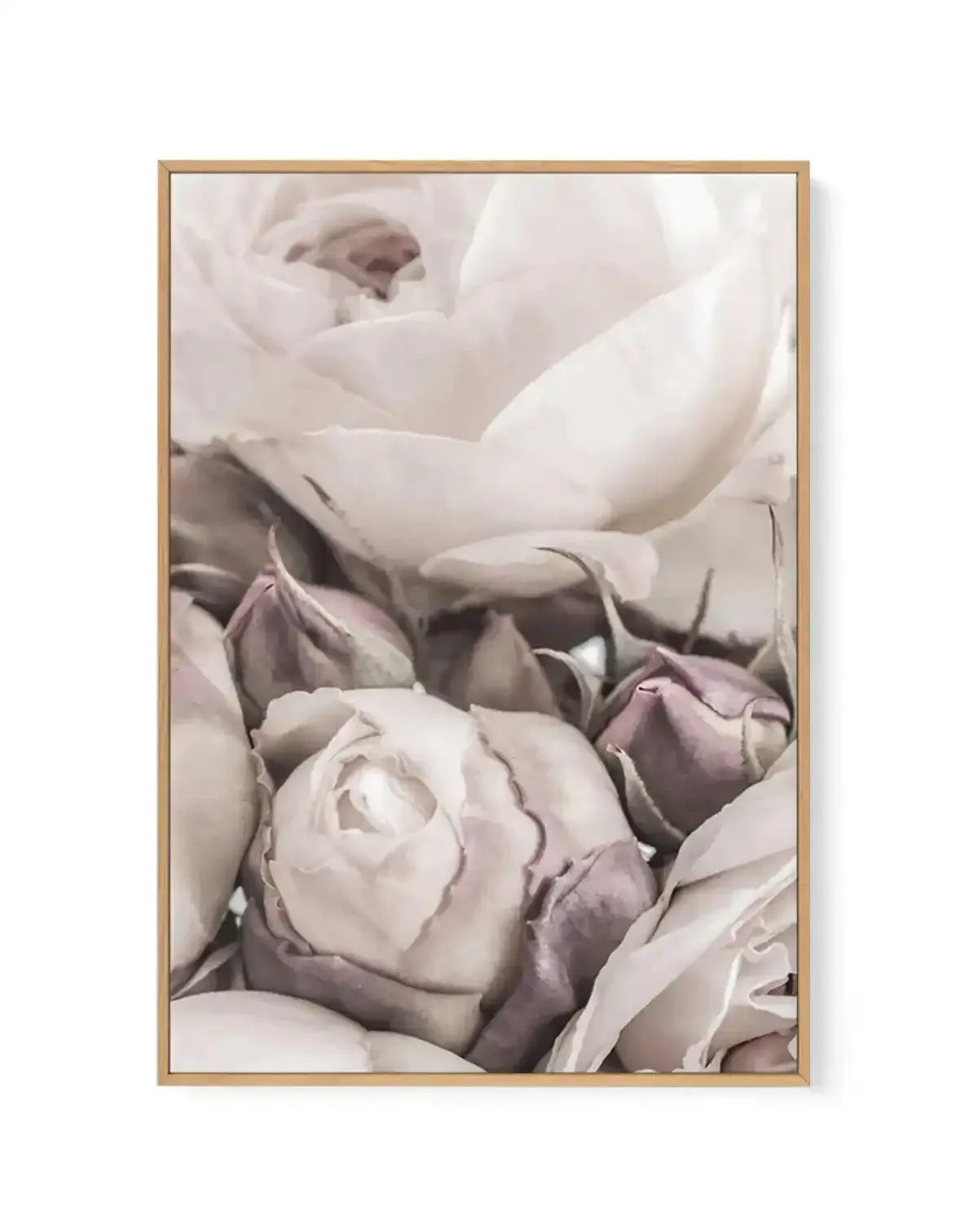 Vintage Roses I | Framed Canvas-CANVAS-You can shop wall art online with Olive et Oriel for everything from abstract art to fun kids wall art. Our beautiful modern art prints and canvas art are available from large canvas prints to wall art paintings and our proudly Australian artwork collection offers only the highest quality framed large wall art and canvas art Australia - You can buy fashion photography prints or Hampton print posters and paintings on canvas from Olive et Oriel and have them 