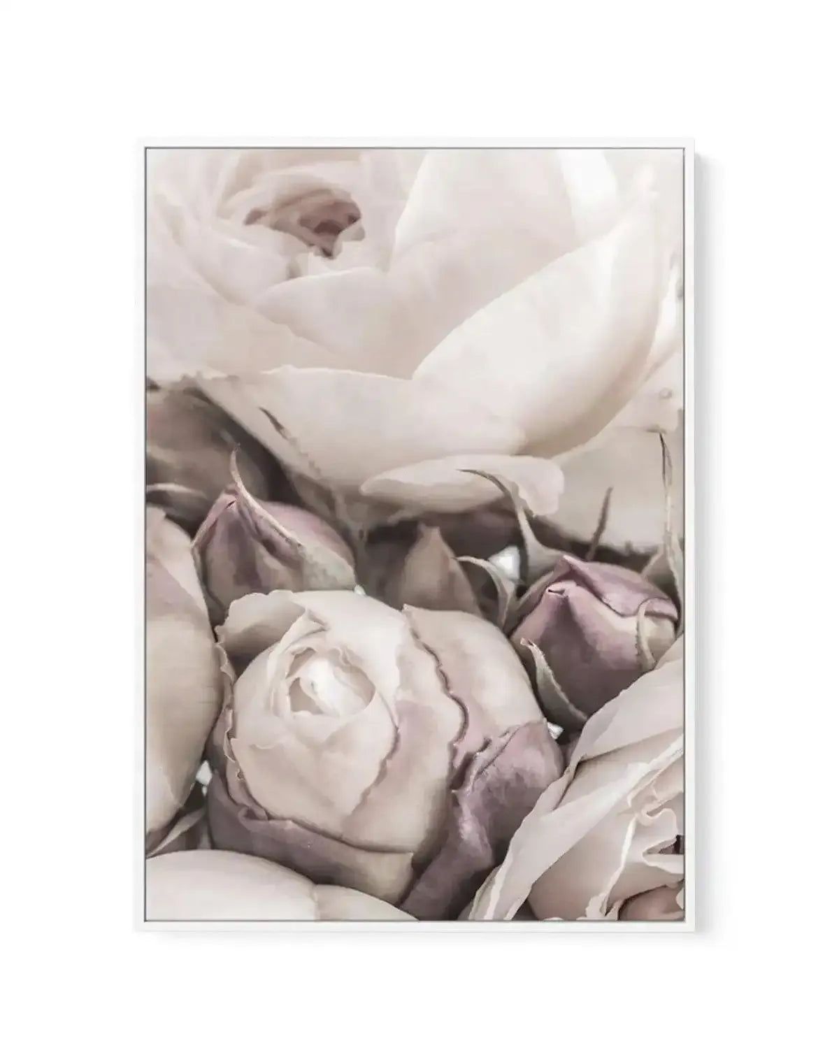 Vintage Roses I | Framed Canvas-CANVAS-You can shop wall art online with Olive et Oriel for everything from abstract art to fun kids wall art. Our beautiful modern art prints and canvas art are available from large canvas prints to wall art paintings and our proudly Australian artwork collection offers only the highest quality framed large wall art and canvas art Australia - You can buy fashion photography prints or Hampton print posters and paintings on canvas from Olive et Oriel and have them 